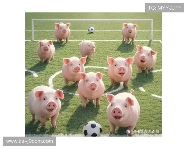 小猪公益以足球点亮童心梦想助力社区温暖成长之路共筑希望未来梦 小猪公益以足球点亮童心梦想助力社区温暖成长之路共筑希望未来梦