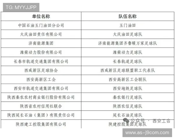 全面解析超级足球联赛全部参赛球队的构成特点与实力格局深度概览 全面解析超级足球联赛全部参赛球队的构成特点与实力格局深度概览